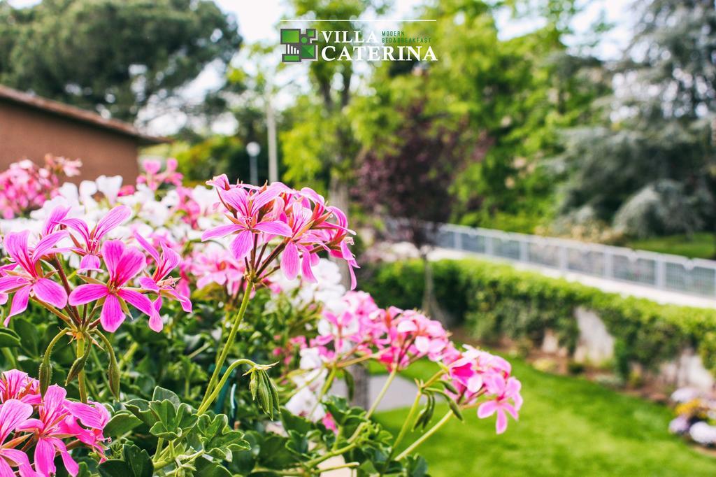 B&B Villa Caterina Pescantina Dış mekan fotoğraf